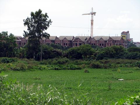 Doanh nghiệp địa ốc đổ lỗi nộp thuế chậm do quy hoạch