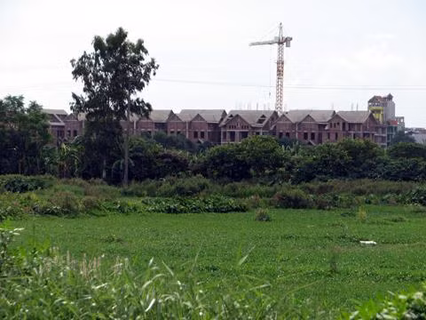 Doanh nghiệp địa ốc đổ lỗi nộp thuế chậm do quy hoạch. Doanh nghiệp địa ốc đổ lỗi nộp thuế chậm do quy hoạch