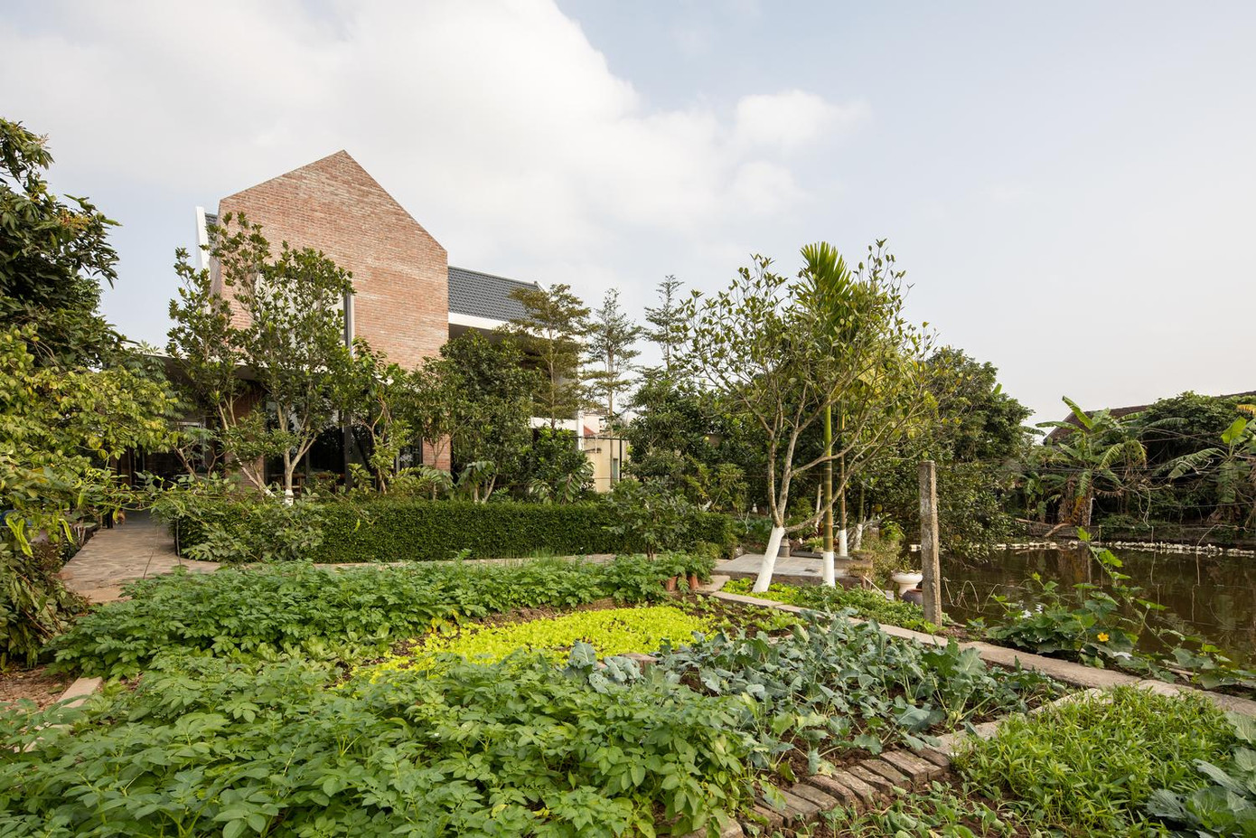 Khu đất bao quanh ngôi nhà đang được ông bà đang canh tác theo mô hình “nông nghiệp tự cung tự cấp” gồm vườn rau, vườn cây ăn quả, ao cá, trang trại nuôi gà, trồng lúa. Vì vậy, phương án thiết kế xoay quanh tiêu chí quan trọng nhất là phù hợp với lối sống và thói quen sinh hoạt hàng ngày của ông bà. Khu đất bao quanh ngôi nhà đang được ông bà đang canh tác theo mô hình “nông nghiệp tự cung tự cấp” gồm vườn rau, vườn cây ăn quả, ao cá, trang trại nuôi gà, trồng lúa. Vì vậy, phương án thiết kế xoay quanh tiêu chí quan trọng nhất là phù hợp với lối sống và thói quen sinh hoạt hàng ngày của ông bà.