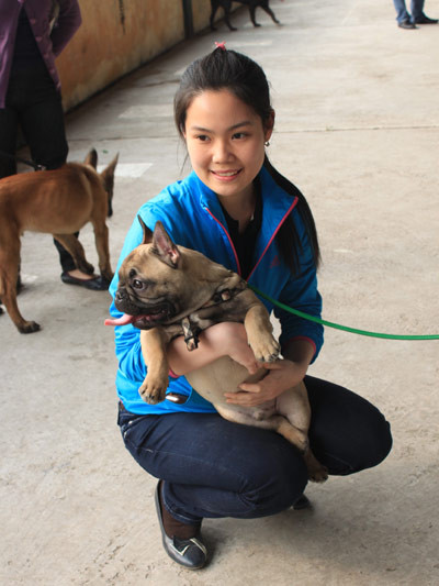 Chú cún bulldog này được chủ nhân mang về từ Pháp với giá khoảng 3.000 USD