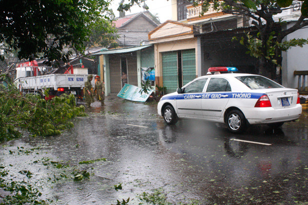Cây đỗ ngã, khiến giao thông ở TP Hội An ách tắc