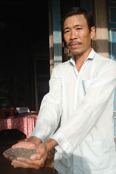 Khốn đốn vì phân bón giả . Khốn đốn vì phân bón giả