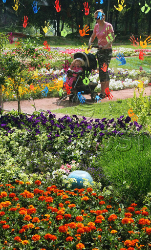 “Hoa trong vườn nhà tôi” “Hoa trong vườn nhà tôi”