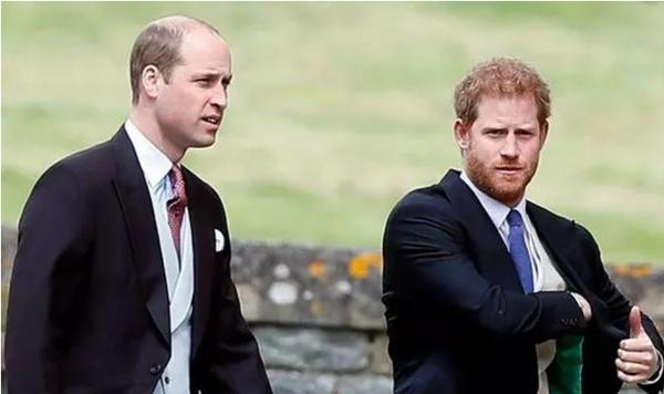 Hai anh em hoàng tử đã nói chuyện điện thoại với nhau. Ảnh: Getty. Hai anh em hoàng tử đã nói chuyện điện thoại với nhau. Ảnh: Getty.