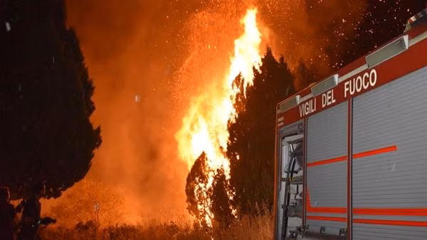 Cháy rừng lan rộng ở Sicily. Ảnh: AP.