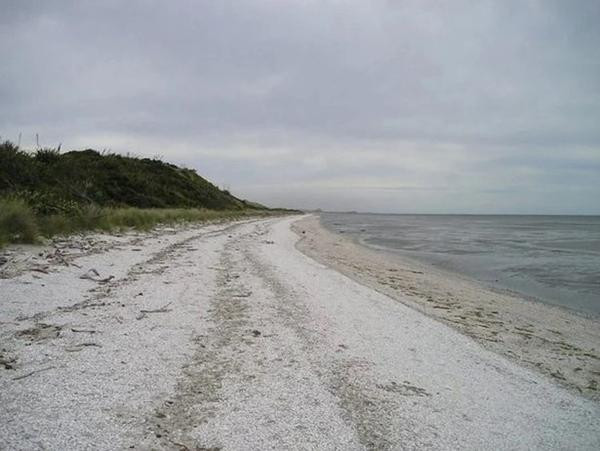 Không có ai sống trên hòn đảo này. Ảnh: Mirror. Không có ai sống trên hòn đảo này. Ảnh: Mirror.