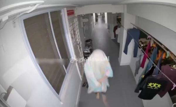 Có một người hàng xóm liên tục làm phiền thì làm sao mà sống nổi! Ảnh: Sgfollowsall.