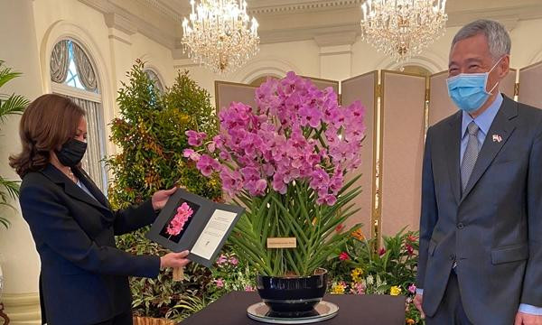 Bà Kamala Harris vừa có chuyến thăm Singapore. Ảnh: Tarini Parti/ Twitter. Bà Kamala Harris vừa có chuyến thăm Singapore. Ảnh: Tarini Parti/ Twitter.