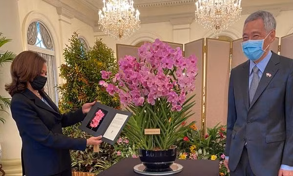 Bà Kamala Harris vừa có chuyến thăm Singapore. Ảnh: Tarini Parti/ Twitter.