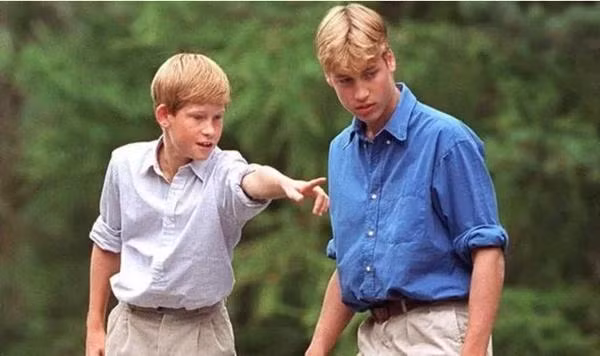 Anh em William và Harry hồi nhỏ. Ảnh: Getty.