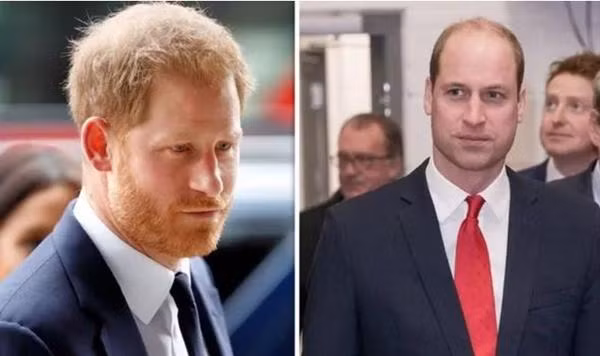 William vừa đưa ra lời "phủ nhận có chiến lược" đối với những chê trách của Harry. Ảnh: Getty.