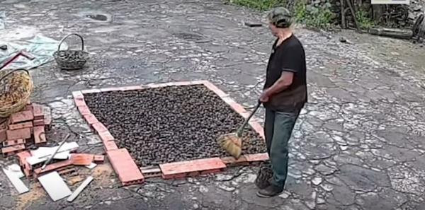 Anh Yi Li lắp cả camera hướng ra sân để có thể thường xuyên nhìn được cha mẹ. Ảnh: SCMP. Anh Yi Li lắp cả camera hướng ra sân để có thể thường xuyên nhìn được cha mẹ. Ảnh: SCMP.