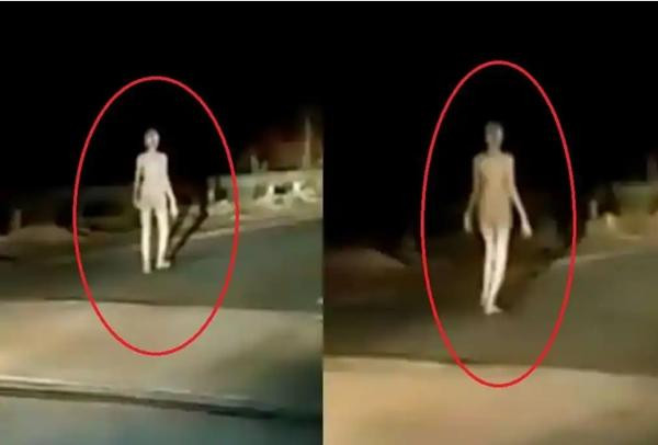 Buổi tối muộn ra đường mà nhìn thấy thế này thì không sợ mới lạ. Ảnh: India.