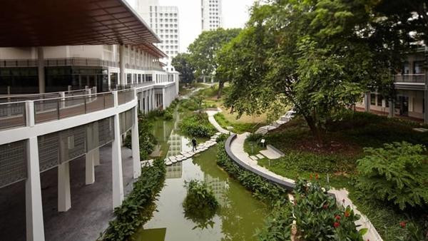 Trong trường ĐH Yale-NUS. Ảnh: ĐH Yale-NUS. Trong trường ĐH Yale-NUS. Ảnh: ĐH Yale-NUS.