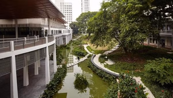 Trong trường ĐH Yale-NUS. Ảnh: ĐH Yale-NUS.