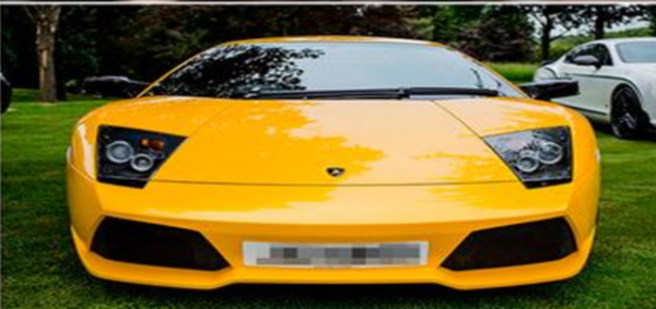 Không biết phải nói rằng anh chàng này suýt chết vì tình yêu hay suýt chết vì siêu xe. Ảnh: Newz.