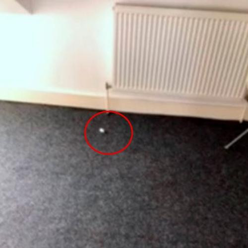 Đây nữa, một mẩu giấy bé xíu trên sàn đã bị chủ nhà phát hiện ra. Ảnh: North News and Pictures. Đây nữa, một mẩu giấy bé xíu trên sàn đã bị chủ nhà phát hiện ra. Ảnh: North News and Pictures.