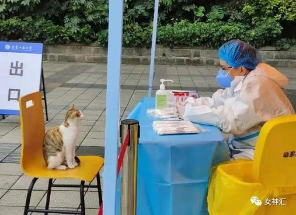 Nào thì &quot;đọ mắt&quot;. Ảnh: Sina.