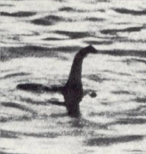 Đã có nhiều báo cáo về việc nhìn thấy "quái vật hồ Loch Ness". Ảnh: Robert Kenneth Wilson/ Wikipedia. Đã có nhiều báo cáo về việc nhìn thấy "quái vật hồ Loch Ness". Ảnh: Robert Kenneth Wilson/ Wikipedia.