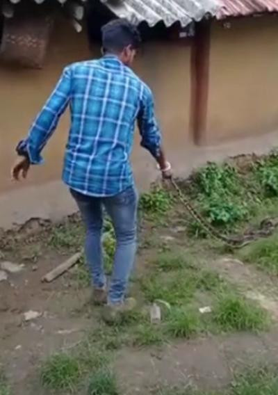 Nhiều người dân ở Ấn Độ tỏ ra không hề sợ rắn, khiến các bác sĩ cũng lo lắng thay. Ảnh: Yahoo! Nhiều người dân ở Ấn Độ tỏ ra không hề sợ rắn, khiến các bác sĩ cũng lo lắng thay. Ảnh: Yahoo!