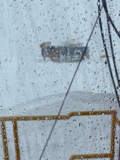 Ảnh: Zoe Courville. Ảnh: Zoe Courville.