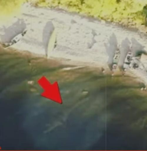 Hình phóng to hơn. Ảnh: YouTube. Hình phóng to hơn. Ảnh: YouTube.