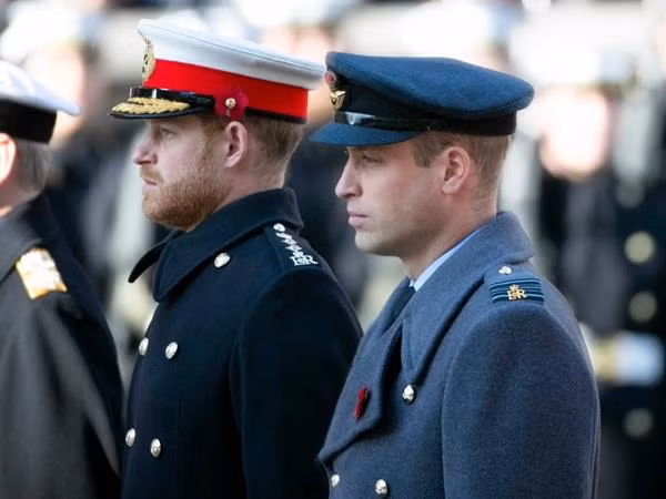 Trong cùng một ngày, anh em William - Harry cho thấy những suy nghĩ trái ngược của họ về công việc. Ảnh: KGC-09/ starmaxinc/ Newscom/ The Mega Agency.