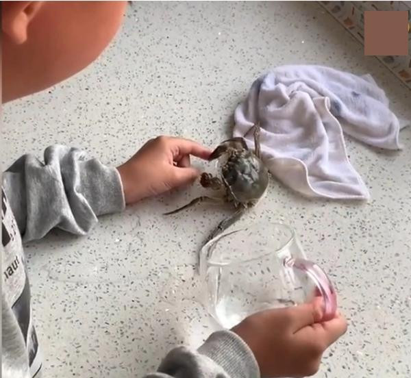 Cậu bé rót nước vào cua để cua bình tĩnh lại. Ảnh: Weibo. Cậu bé rót nước vào cua để cua bình tĩnh lại. Ảnh: Weibo.