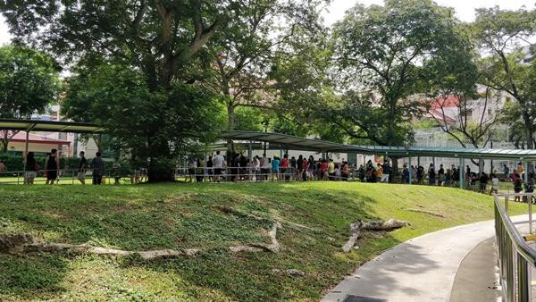 Cha mẹ ở Singapore cũng đứng đông đảo bên ngoài cổng trường để ngóng con. Ảnh: Twitter.