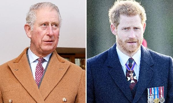 Từ lần này sang lần khác, Harry phê phán cha mình. Ảnh: Shutterstock; Tim Rooke/ Shutterstock.
