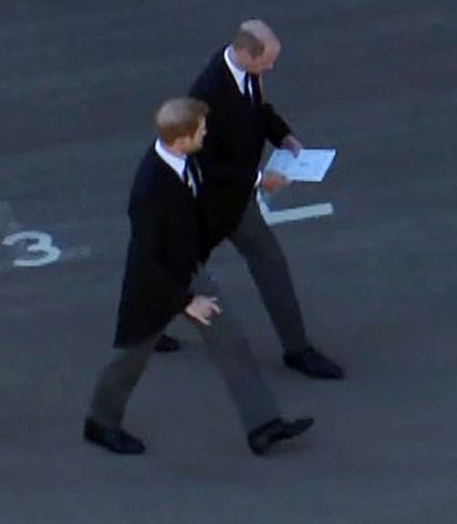 Cuối cùng thì hai anh em hoàng tử đã trò chuyện với nhau. Ảnh: BBC News. Cuối cùng thì hai anh em hoàng tử đã trò chuyện với nhau. Ảnh: BBC News.