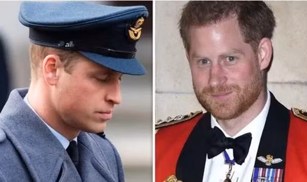 "Tình anh em đi xuống"? Ảnh: Getty.