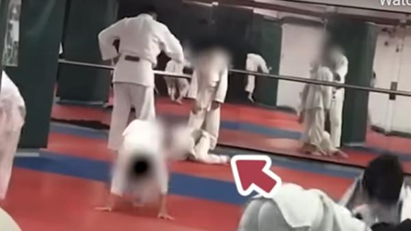 Huang bò lê lết dưới đất nhưng cũng không được tha. Ảnh: LTN.