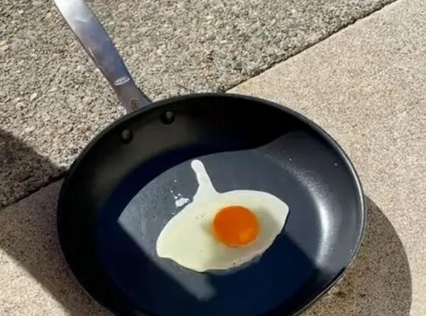 Người dân ở Canada rán trứng bằng ánh nắng ngoài trời. Ảnh: Twitter. Người dân ở Canada rán trứng bằng ánh nắng ngoài trời. Ảnh: Twitter.