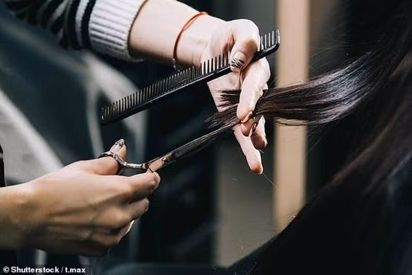 Đã được hướng dẫn nhưng người tạo kiểu tóc lại cắt sai ý khách. Ảnh minh họa: Shutterstock. Đã được hướng dẫn nhưng người tạo kiểu tóc lại cắt sai ý khách. Ảnh minh họa: Shutterstock.