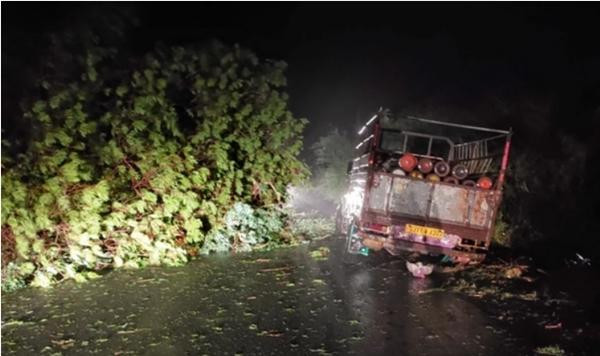 Một chiếc xe chở bình oxy bị mắc kẹt do cây đổ ở bang Gujarat. Ảnh: Getty.