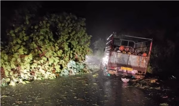 Một chiếc xe chở bình oxy bị mắc kẹt do cây đổ ở bang Gujarat. Ảnh: Getty.