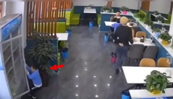 Mọi việc bắt đầu từ một cậu bé nghịch ngợm. Ảnh: Viral!