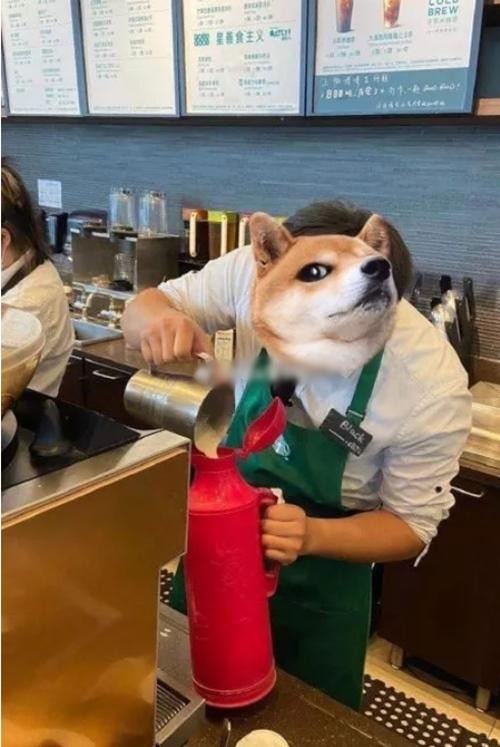 Một nhân viên Starbucks đang rót đồ uống miễn phí vào chiếc phích lớn mà khách mang tới. Ảnh: Weibo