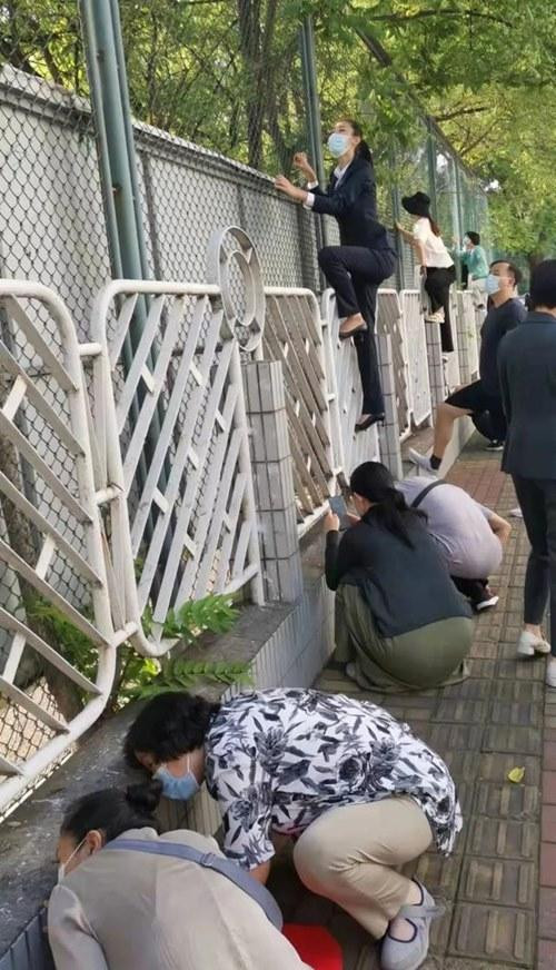 Mỗi người một cách để ngó con. Ảnh: 163.