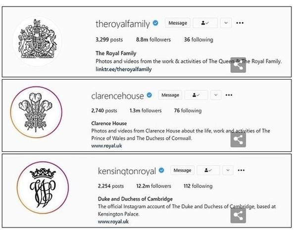 Tài khoản Instagram của các thành viên cao cấp nhất của Hoàng gia Anh đồng loạt thay avatar. Ảnh: Instagram.
