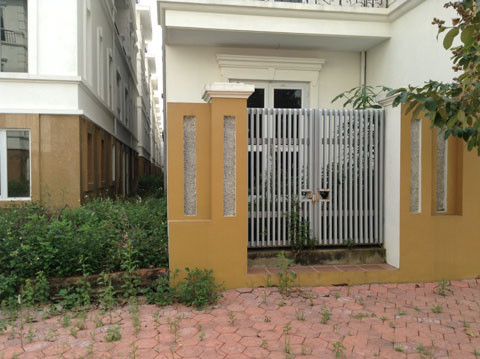 Cỏ dại và rêu xanh mọc kín sân nhà .