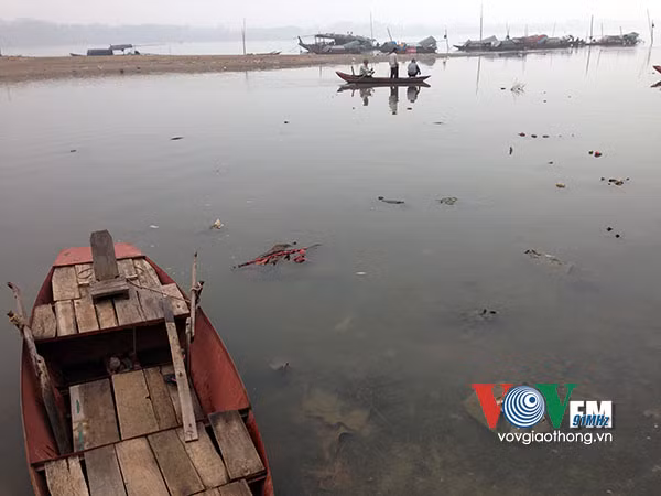 Sông Hồng đang kêu cứu ảnh 16