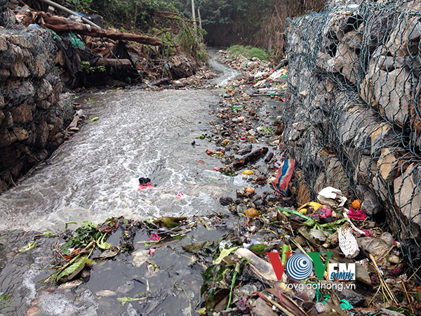 Sông Hồng đang kêu cứu ảnh 4