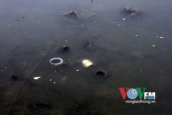 Sông Hồng đang kêu cứu ảnh 11