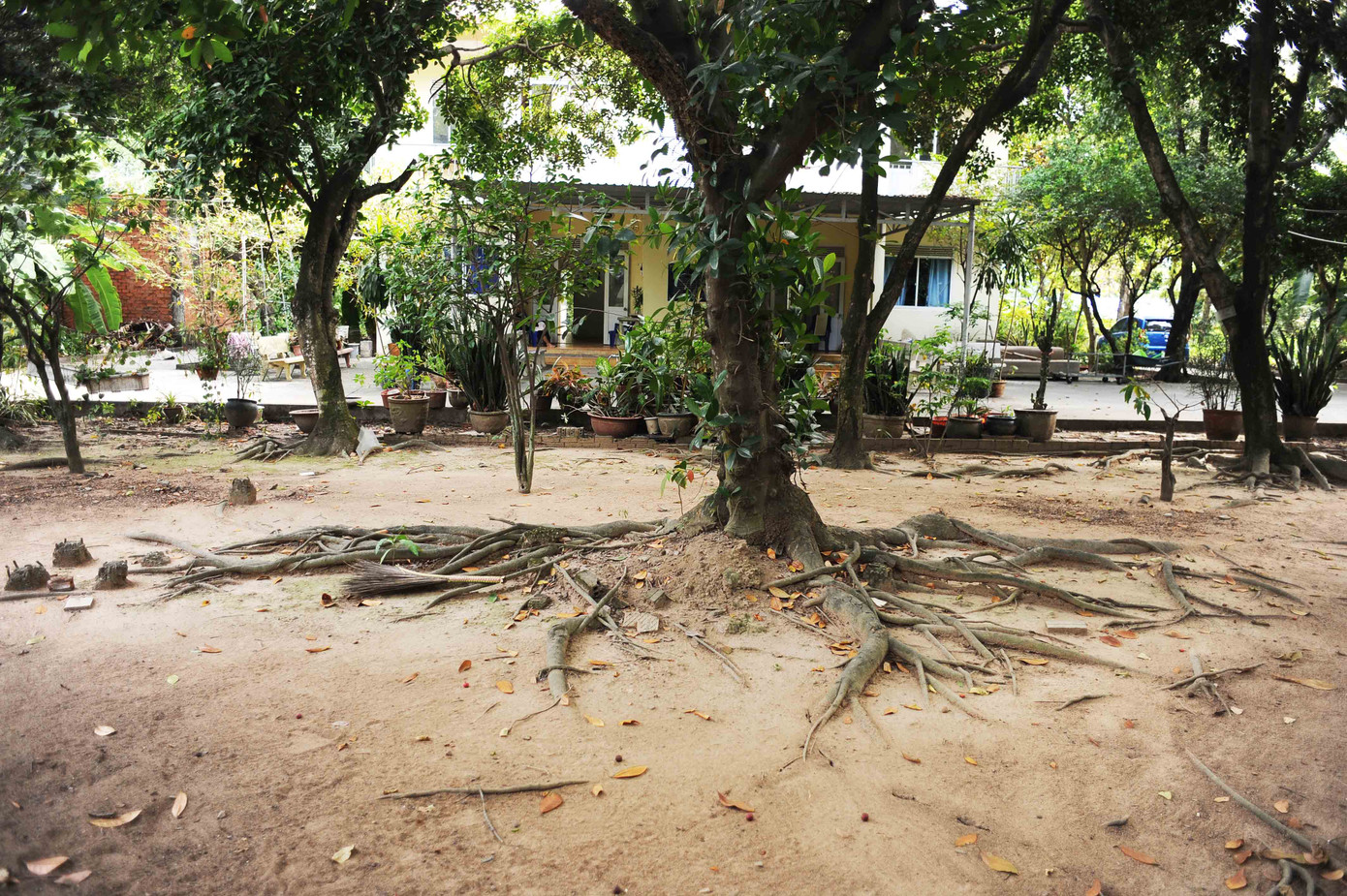 Tuy nhiên, theo thời gian Viện dưỡng lão nghệ sĩ đã xuống cấp, hư hỏng. Tuy nhiên, theo thời gian Viện dưỡng lão nghệ sĩ đã xuống cấp, hư hỏng.