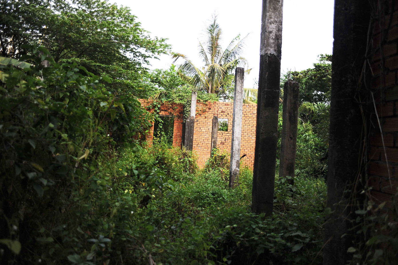 Nhiều hạng mục bị quên lãng. Nhiều hạng mục bị quên lãng.