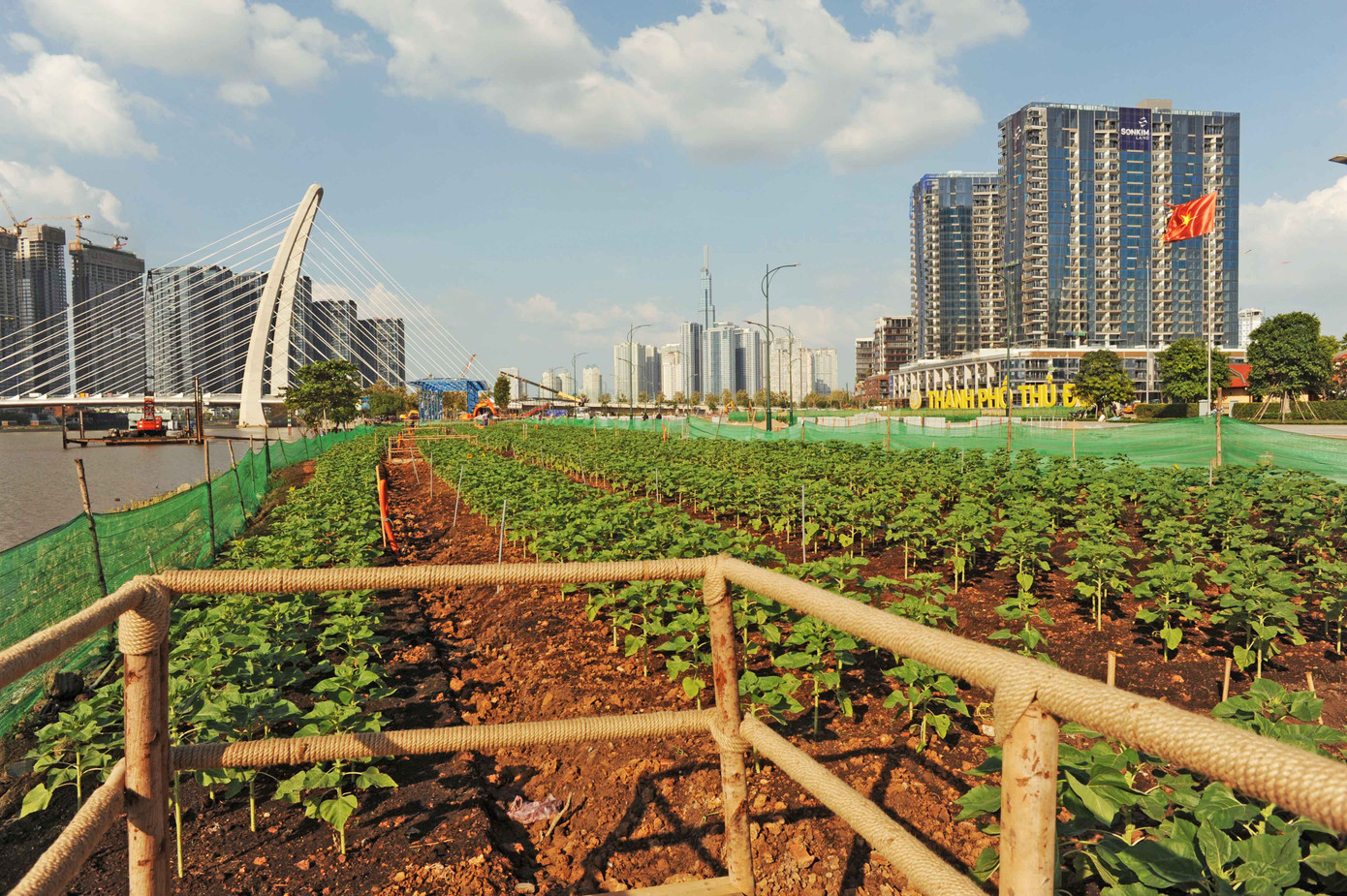 Bến phà Thủ Thiêm mới sẽ là điểm nhấn ven sông Sài Gòn với khung cảnh được xây dựng đẹp và thân thiện môi trường. Bến phà Thủ Thiêm mới sẽ là điểm nhấn ven sông Sài Gòn với khung cảnh được xây dựng đẹp và thân thiện môi trường.