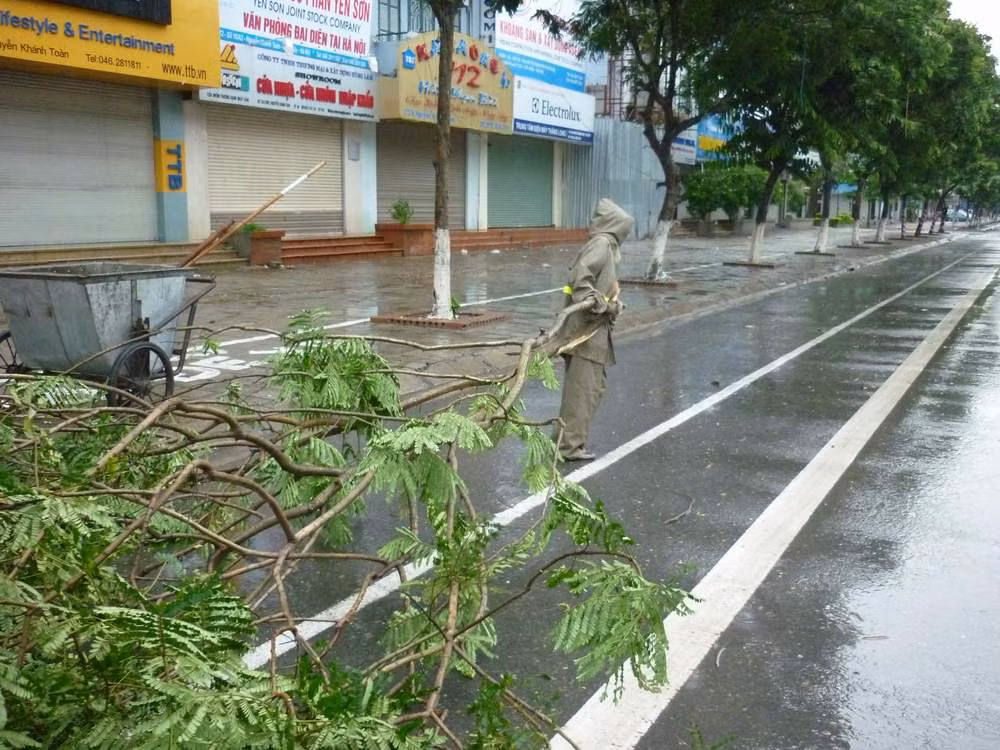 Công nhân dọn cây bị gãy đổ từ 5h sáng. Ảnh : Hoàng Tuân