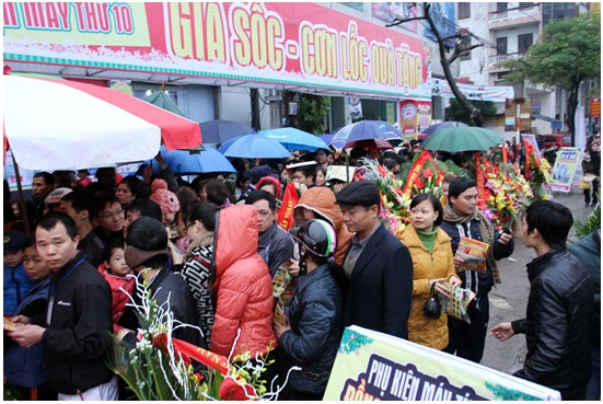 Đội mưa rét, đi săn hàng điện máy khuyến mại giữa biển người 